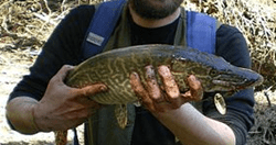 Cette image a un attribut alt vide ; le nom du fichier est image-14.png