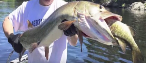 Cette image a un attribut alt vide ; le nom du fichier est image-7.png